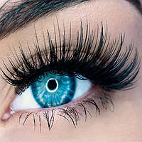 Накладні вії та різні засоби для лешмейкерів, бровістів 