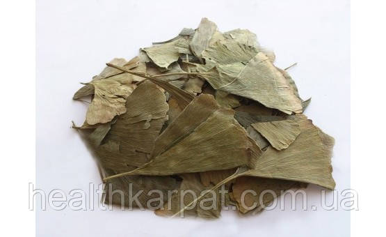 Гінкго білоба листя 50 грамм, фото 1