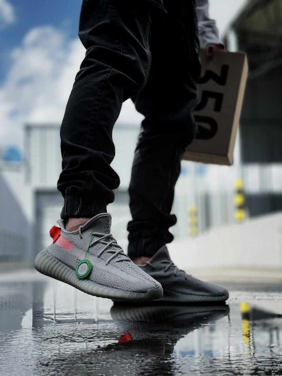 Кросівки чоловічі сірі Adidas Yeezy 350 Tail Light (00552)