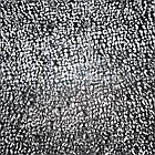 Софтбокс SoftBox Elinchrom portalite 40x40, фото 5