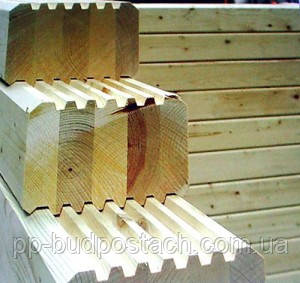 Особливості будинків і клеєного бруса