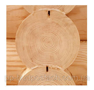 Дизайн житла з оциліндрованої колоди