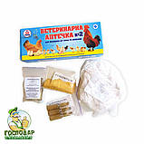 Ветеринарна аптечка №2 для молодняку с/г птахів та бройлерів, фото 3