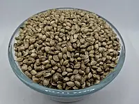 Семена Конопли (неочищенные) 1кг пищевые, лекарственные, весовые семена конопли