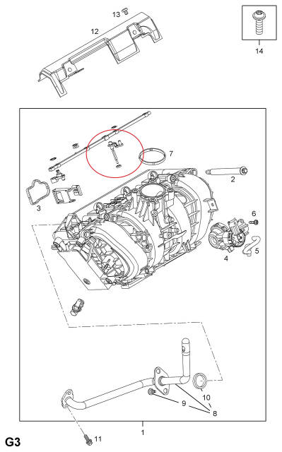 3810384271_w1280_h640_hvostovi