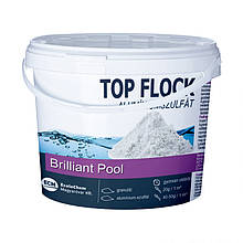 Флокулянт у гранулах для води в басейні 80012 ECM, коагулянт, флокер, Угорщина, 1кг