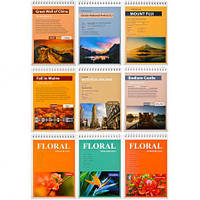 Від 5 шт. Блокнот A5 Color "KRAFT" 80арк. клітинка з перф., спіраль  купити дешево оптом в інтернет-магазині