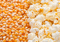 Кукурудза зерно для приготування попкорну 1кг якісне насіння на попкорн вагові