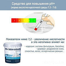 Засіб для підвищення рівня pH для басейну Solvay 80028, pH+ плюс, Бельгія, 6 кг, фото 3