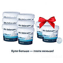 Засіб для підвищення рівня pH для басейну Solvay 80028, pH+ плюс, Бельгія, 6 кг, фото 5