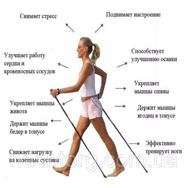 Телескопические трекинг палки для скандинавской ходьбы трекинговые палки скандинавские (пара) (NT) - фото 7 - id-p1498943994