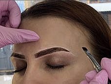 Фарбування брів хною+корекція