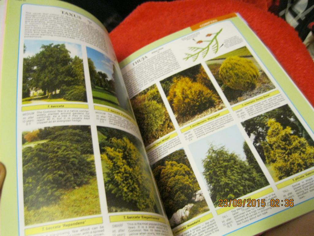 Книга английский язык ланшафт растения Dr.D.G.HESSAYON The Tree & Shrub Expert - фото 5 - id-p1626069355