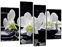 Модульная картина Цветы Орхидея Art-26_4