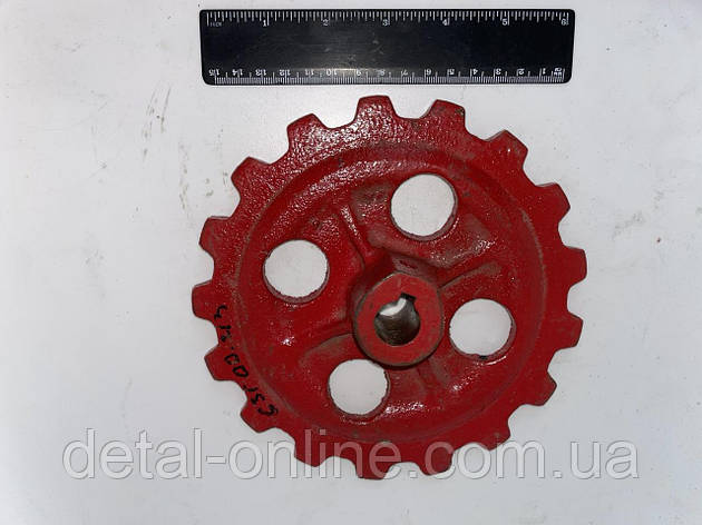 ССГ 00.213 зірочка приводу апарату туквовисівного СУПН-8(Z=17, t=31.75), фото 1