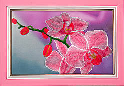 Схема для вишивки бісером Рожеві Орхідеї К-028 (габардин)