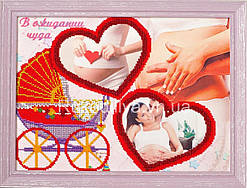 Схема для вишивки бісером з вашим фото РМ-016 (габардин)