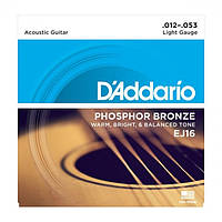 Струны D'Addario EJ16 12-53 фосфорная бронза