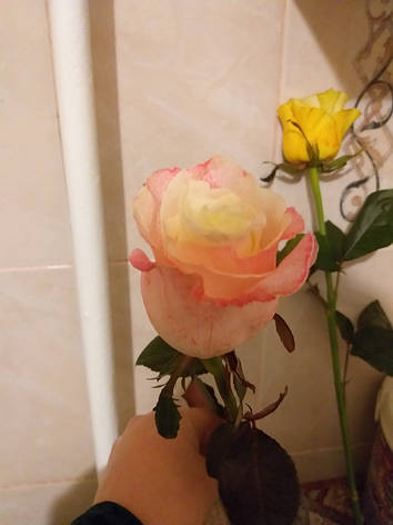 Фарба для зрізаних квітів оранжева PreFlower Color 1 кг, фото 1