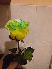 Фарба для квітів помаранчева PreFlower Color 1 кг, фото 5