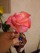 Фарба для квітів помаранчева PreFlower Color 1 кг, фото 4