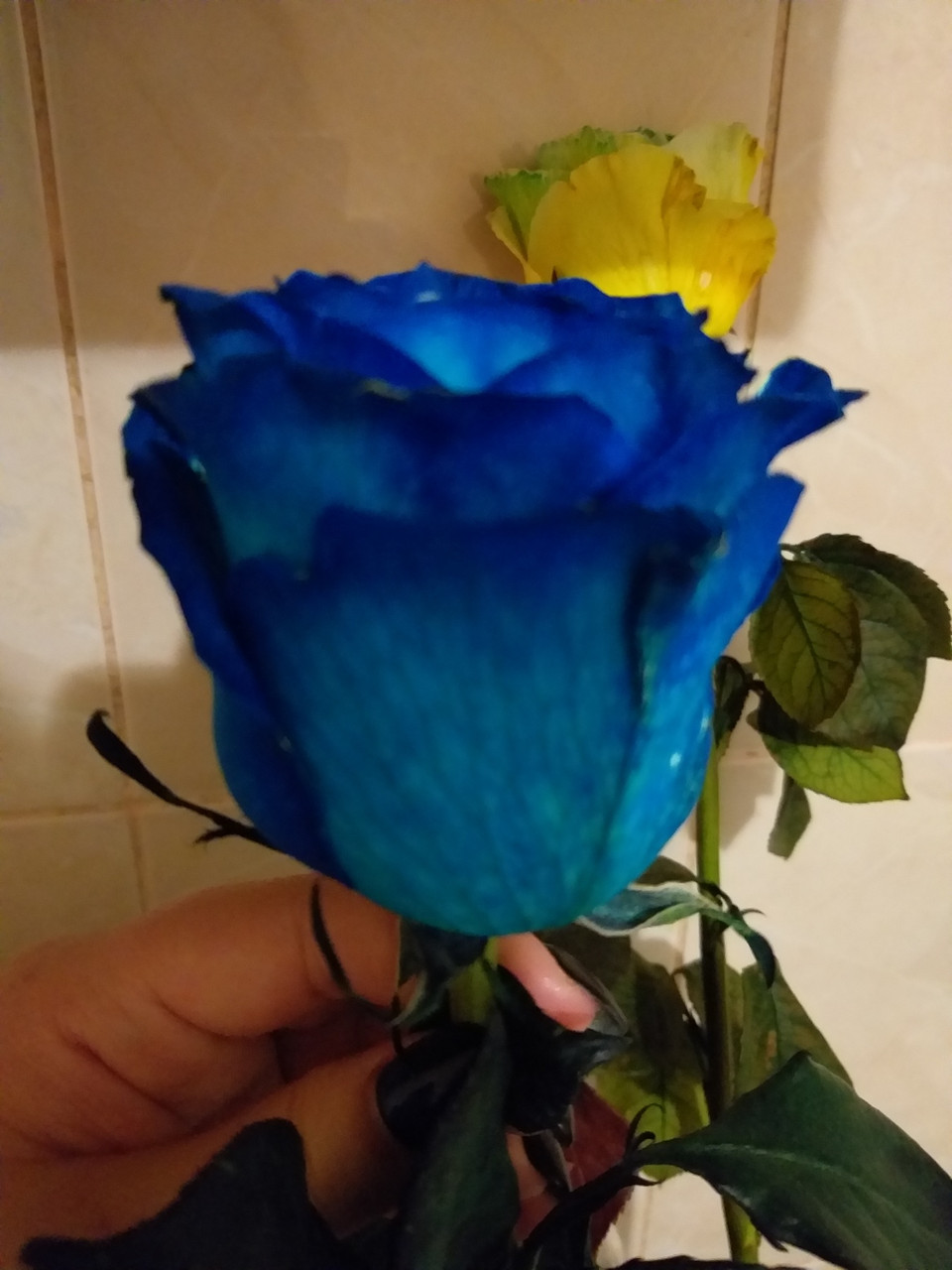 Фарба для квітів синя PreFlower Color 100 г