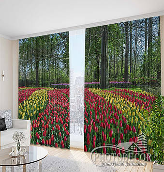 Фото Штори "Поле з тюльпанами" 2,7м*2,9м (2 полотна по 1,45м), тасьма