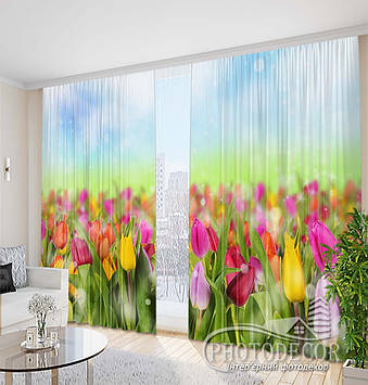 Фото Штори "Поле з різнокольоровими тюльпанами" 2,5м*2,9м (2 полотна по 1,45м), тасьма