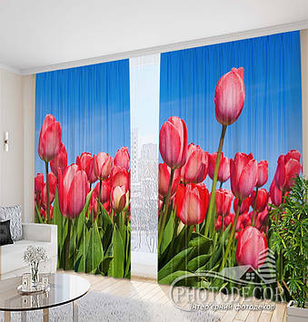 Фото Штори "Поле з червоними тюльпанами" 2,5м*2,9м (2 полотна по 1,45м), тасьма