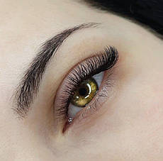 Нарощування вій (класика, 2D)