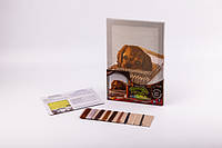 Вышивание крестом Вышивание Color Kit