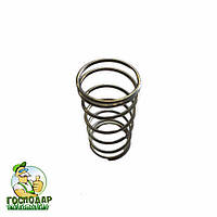 Пружина газового редуктора РДГС - 10, запчастини до вхідного газового редуктора РДГС 10. Пружина 00. 00. 005