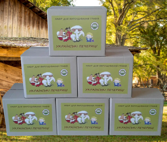 Набори для вирощування білих печериць  УКРАЇНСЬКІ ПЕЧЕРИЦІ, фото 1