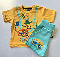 Шорты + футболка для мальчика (комплект)
