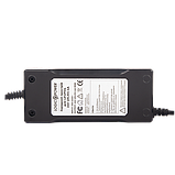 Зарядний пристрій для акумуляторів LiFePO4 36V (43.2V)-5A-180W, фото 2