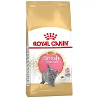 Сухой корм Royal Canin British Shorthair Kitten для британских котят, 2 кг