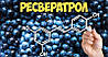 Ресвератрол Progress Labs Resveratrol Extract 500 mg 120 caps, фото 3