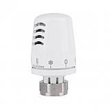 Термоголівки