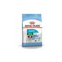 Корм д/щінків Роял Royal Canin SHN MINI PUPPY міні 800 г 30000082