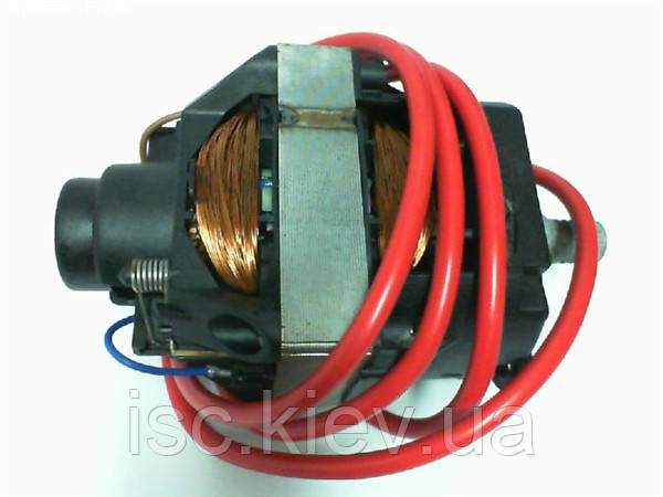 Електродвигун Bosch ASM32/Elan 32/Qualcast F016102819