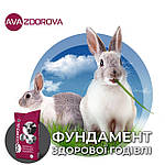 Комбікорм для кролів з кокцидіостатиком - преміум корм AVA ZDOROVA Rabbit (Соя) протягом всього періоду відгодівлі, фото 6