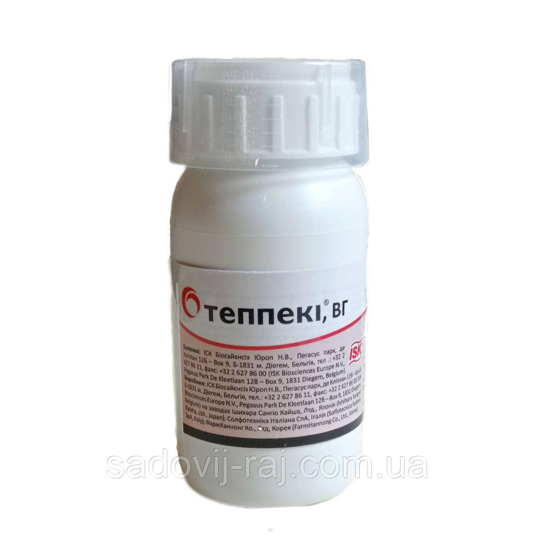 Лесбиянка қыздар өз құрбысын пиздаларын жалауға мәжбүрлеген