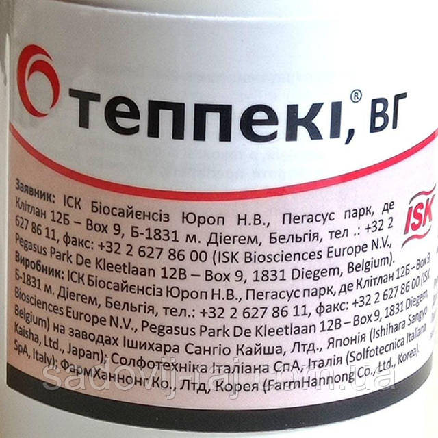 Жетілген балапандағы алып әтеш