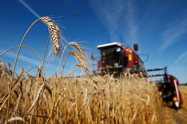 як підвищити врожайність