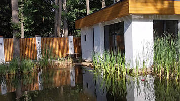 Пруд 300м2 в Харькове 2