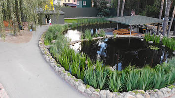 Два пруда в Вышгороде 300м2 2