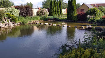 Пруд 200м2 в Путровке 1