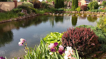 Пруд 200м2 в Путровке 2