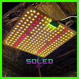 600W 226LED. Фітолампа (lm281B Фітосвітильник. Днат. Mars hydro. Гроубокс. Quantum board) Soled.in.ua, фото 2