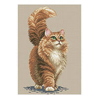 Набор для вышивания нитками крестом " Мечтательный кот " кошка кот ночь Звезды AIDA мулине ДМС Pony 18x26 см